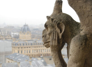 Gárgola de Notre Dame en París