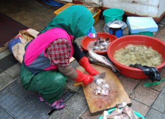Cortando pescado en el Mercado Jagalchi de Busan
