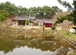 Charca junto a una casa tradicional coreana en Gyeongju