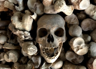 Fotos de Wamba en Valladolid, osario calavera sonriente