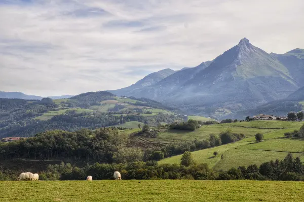 Fotos Goierri - ruta Idiazabal, Txindoki y ovejas
