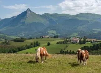 Qué hacer en Goierri con niños