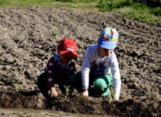 Fotos del Valle del Jerte, Agroturismo El Vallejo Teo y Oriol