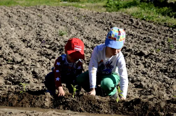 Fotos del Valle del Jerte, Agroturismo El Vallejo Teo y Oriol