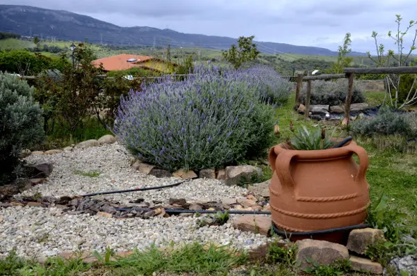 Fotos de Romangordo en Caceres, huerto de la Casa de los Aromas