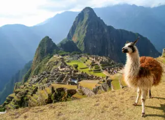 Ruta de Cusco a Machu Picchu, un viaje por el Valle Sagrado de los Incas en Perú Foto de Machu Picchu en Peru, alpaca