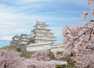 El castillo de Himeji, visitando la imponente y hermosa garza blanca de Japón Fotos del Castillo de Himeji en Japón con cerezos en flor