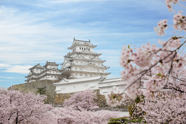 Fotos del Castillo de Himeji en Japón con cerezos en flor