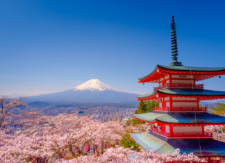 10+1 razones por las que tienes que viajar a Japón Monte Fuji en primavera con los cerezos en flor