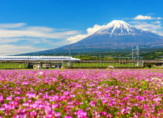 Tren bala ante el Monte Fuji