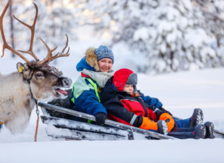 Laponia Finlandesa con niños: excursión en moto de nieve y visita a una granja de renos Viaje a Laponia Finlandesa con ninos, trineo con reno