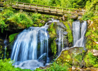 10 consejos para viajar a Selva Negra con niños o por libre Cómo organizar tu viaje a la Selva Negra