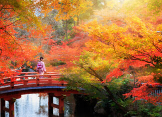 Itinerario para viajar a Japón dos semanas por libre Fotos de Japon, otono en Kioto