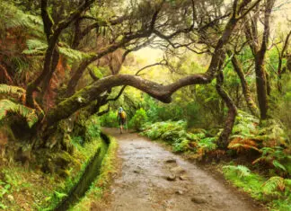 10 lugares que visitar en Madeira imprescindibles Fotos de Madeira en Portugal, senderismo por las levadas
