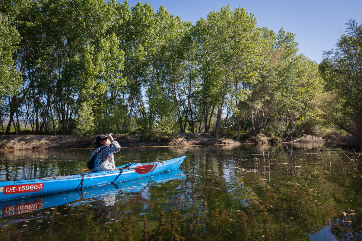 Kayak en Ribera d'Ebre prismaticos