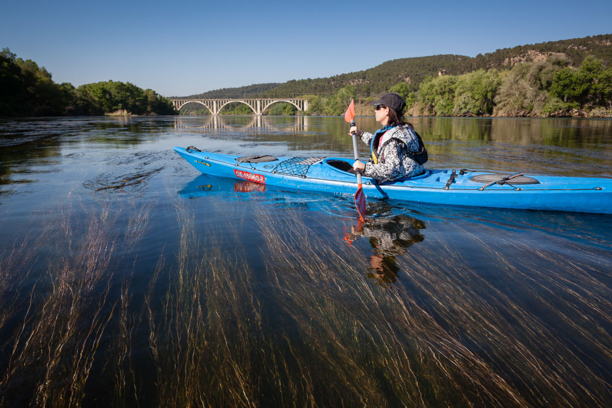 Kayak en Ribera d'Ebre