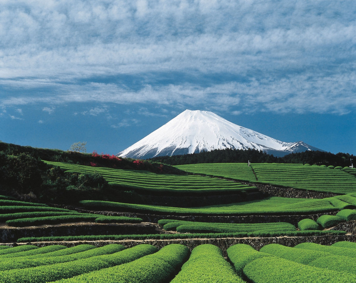 La cima del Monte Fuji en Japon