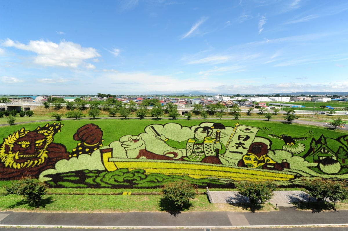Campos de arroz de Gyoda en Japon