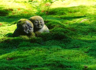 Cinco rutas de senderismo en Kioto para disfrutar de la naturaleza Las mejores rutas de senderismo en Kioto, Japon