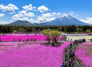 Planes para hacer en primavera en Japón (además de observar los cerezos en flor) Ideas para hacer en Japon en primavera