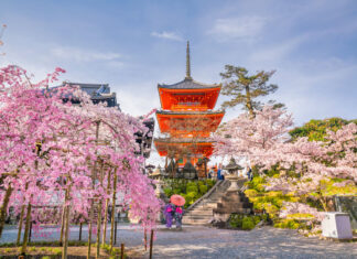Cuál es la mejor época para viajar a Japón Que visitar en Kioto en un dia