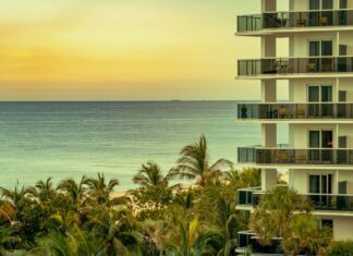 ¿Dónde alquilar un coche en Miami? Te enseñamos las 5 mejores páginas Donde rentar un auto en Miami