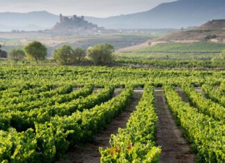 10 planes con niños para descubrir La Rioja Planes para hacer en La Rioja con niños