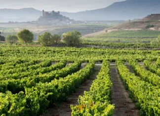 Planes para hacer en La Rioja con niños
