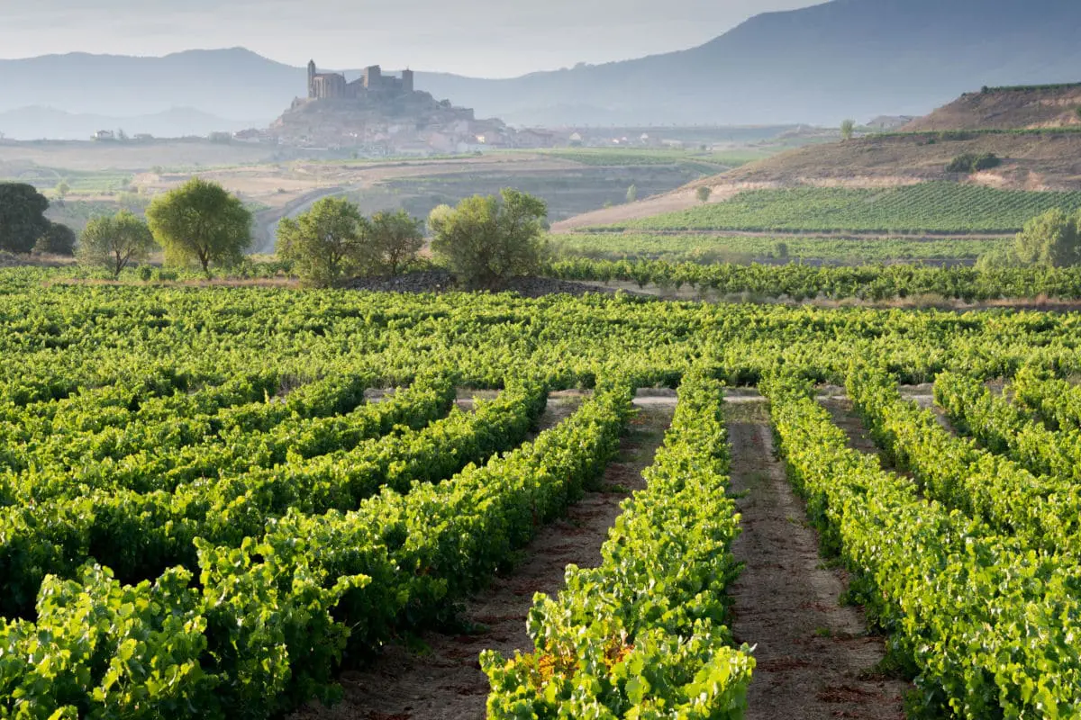 Planes para hacer en La Rioja con niños
