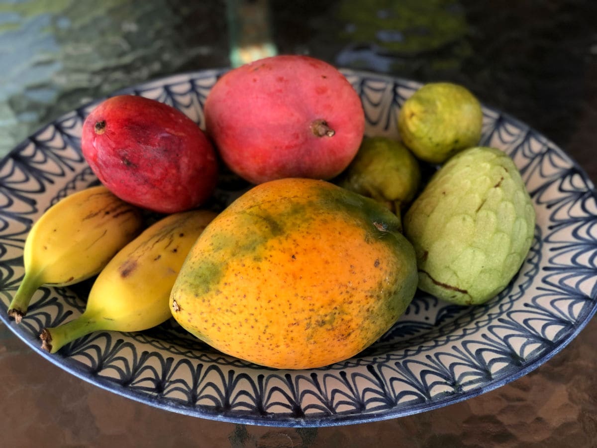Frutos subtropicales de Salobreña