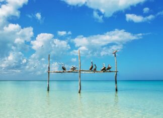 Mejores playas de México que debes visitar una vez en la vida Las mejores playas que visitar en México