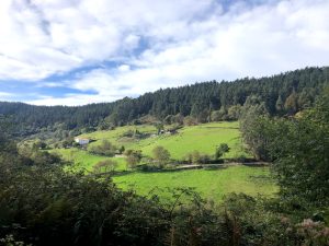 Guía de Asturias