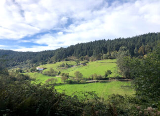 Guía de Asturias