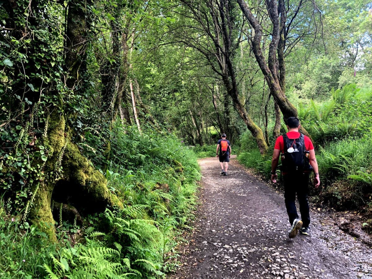 Etapa de Palas de Rei a Arzua en el Camino de Santiago