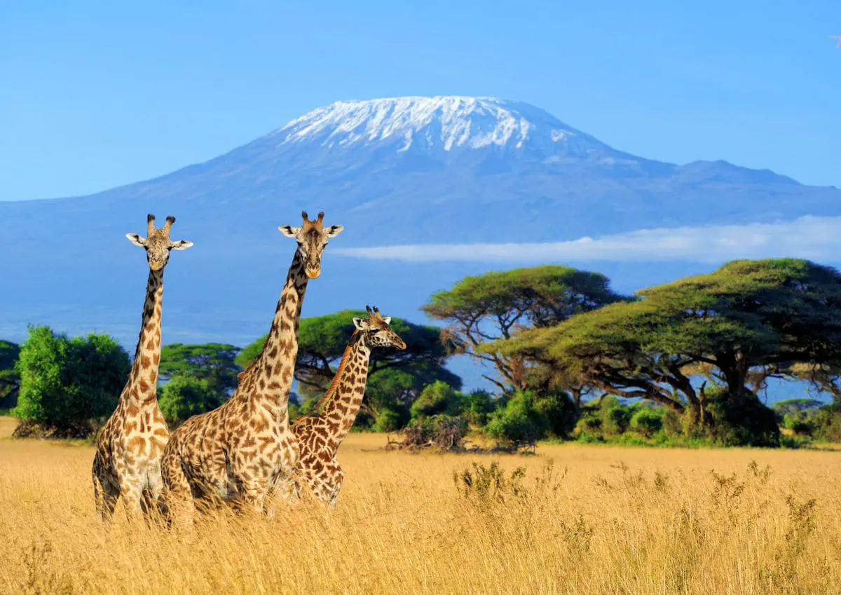 Sitios que visitar en Kenia