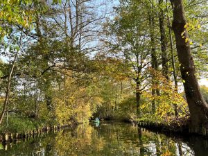 Spreewald