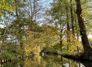 Lugares que visitar en Spreewald, el secreto mejor guardado de los berlineses Cosas que hacer en Spreewald con niños