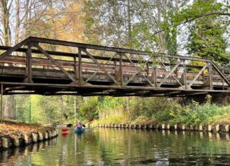 Planes divertidos que hacer con niños en Spreewald Planes que hacer en Spreewald en familia