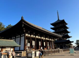 Cómo organizar tu primer viaje a Japon