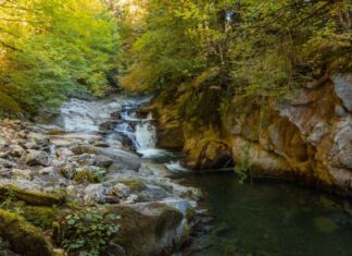 Qué ver en Irati y el Valle del Roncal en Navarra Visita a Navarra y la Selva de Irati