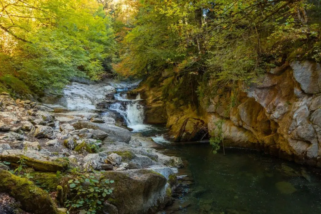 Visita a Navarra y la Selva de Irati
