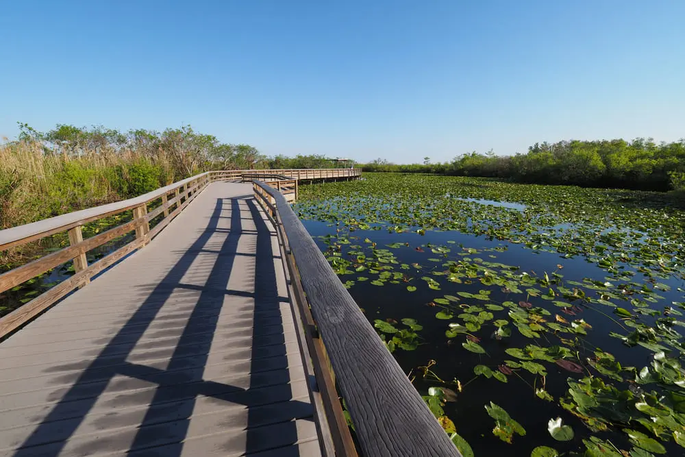 Consejos para visitar el Everglades National Park