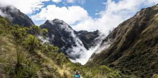 Viajes a Perú: la experiencia inolvidable entre cultura, historia y paisajes únicos Camino Inca en Peru
