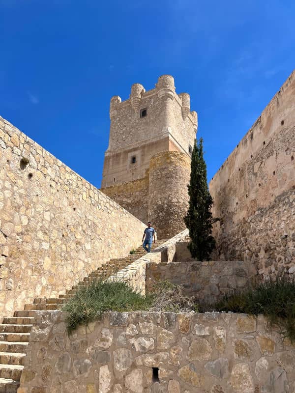 Pau en el Castillo de la Atalaya de Villena