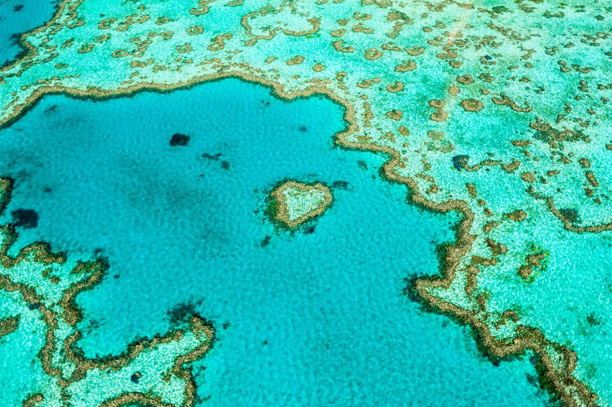 Gran Barrera de Coral