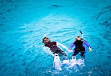 Pareja de snorkelling en la Gran Barrera de Coral Australia
