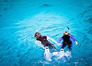 Pareja de snorkelling en la Gran Barrera de Coral Australia