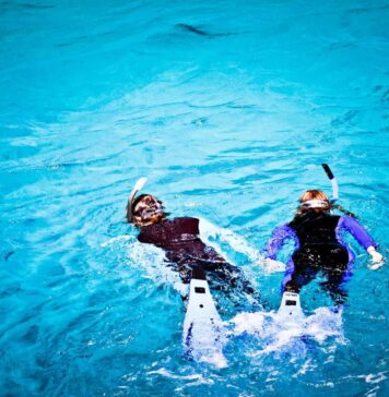 Pareja de snorkelling en la Gran Barrera de Coral Australia