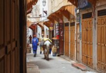 Como es viajar a Marruecos con Chic Morocco