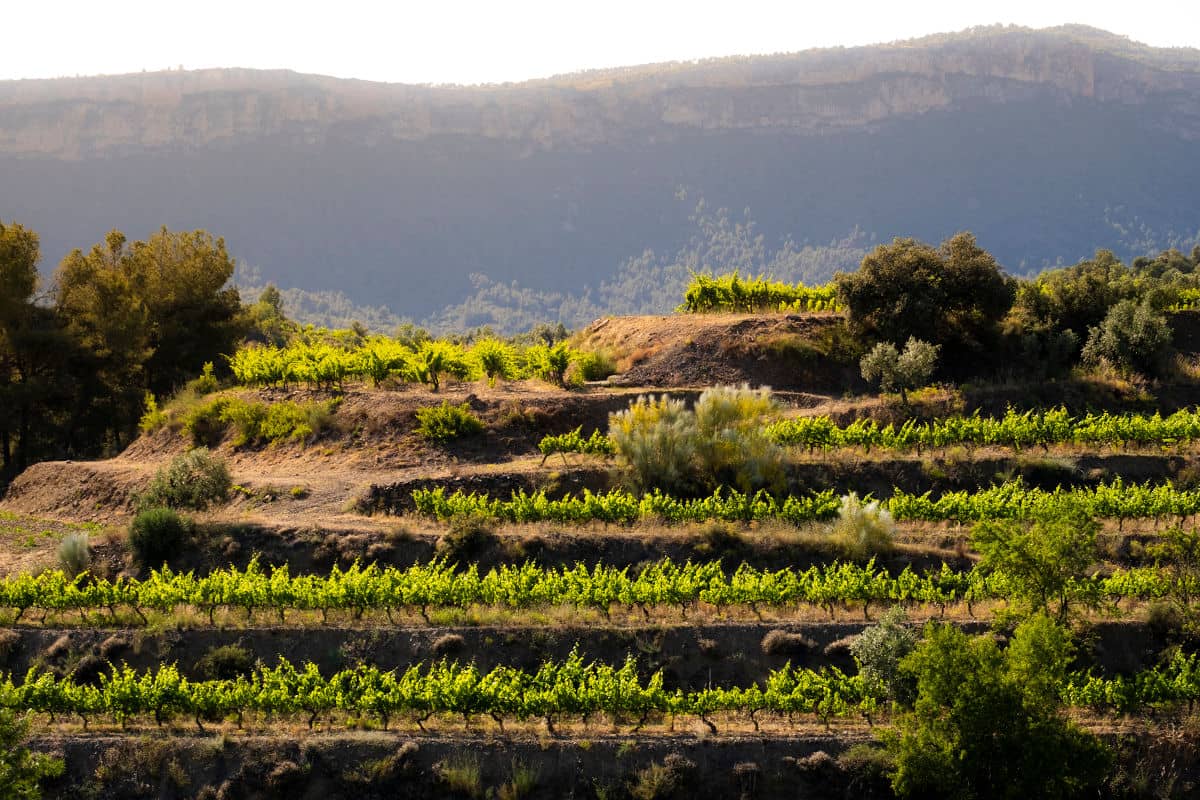 El agroturismo inculca el respeto por la naturaleza